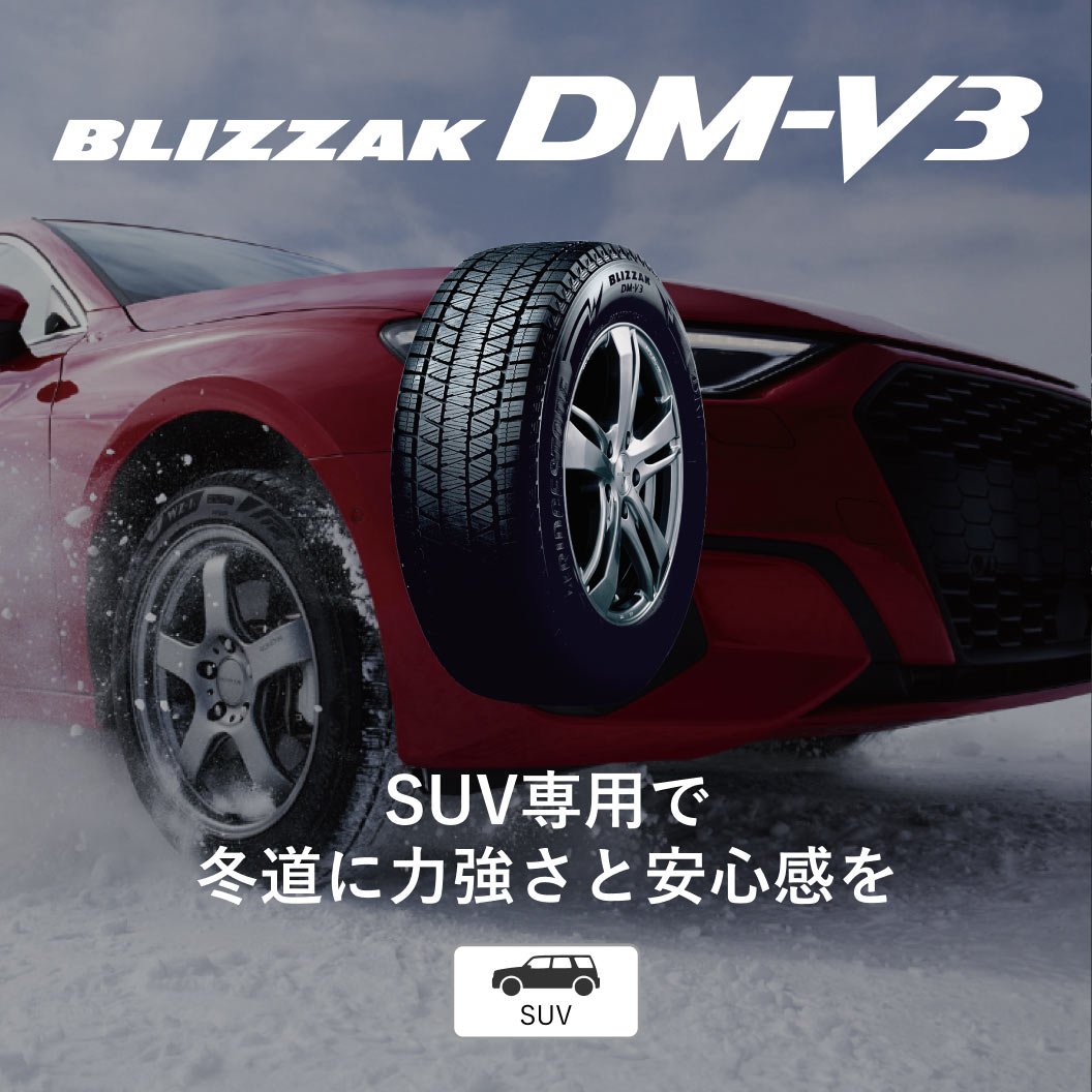 BLIZZAK DM-V3 225/60R18 100Q｜ブリヂストン タイヤオンラインストア