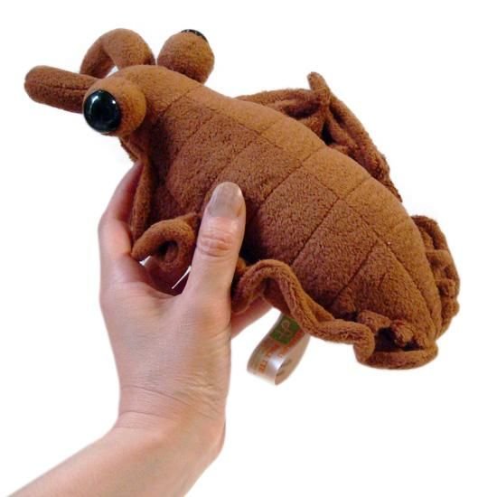 アノマロカリスのぬいぐるみ】A-SHOW（栄商）◇古代の海の動物