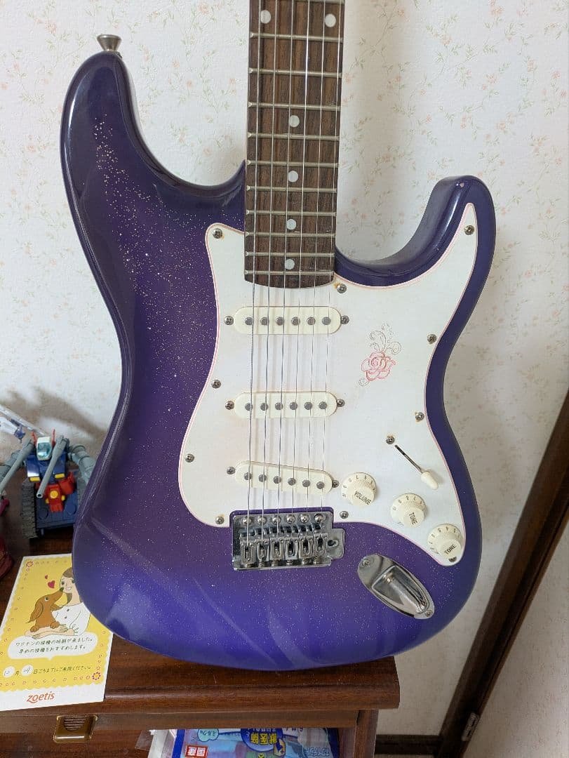 GYPSY ROSE 　ジプシーローズ　パープル エレキギター　ストラトタイプ 大人気のジプシーローズより、エレキギター、エレキベースセットに新色