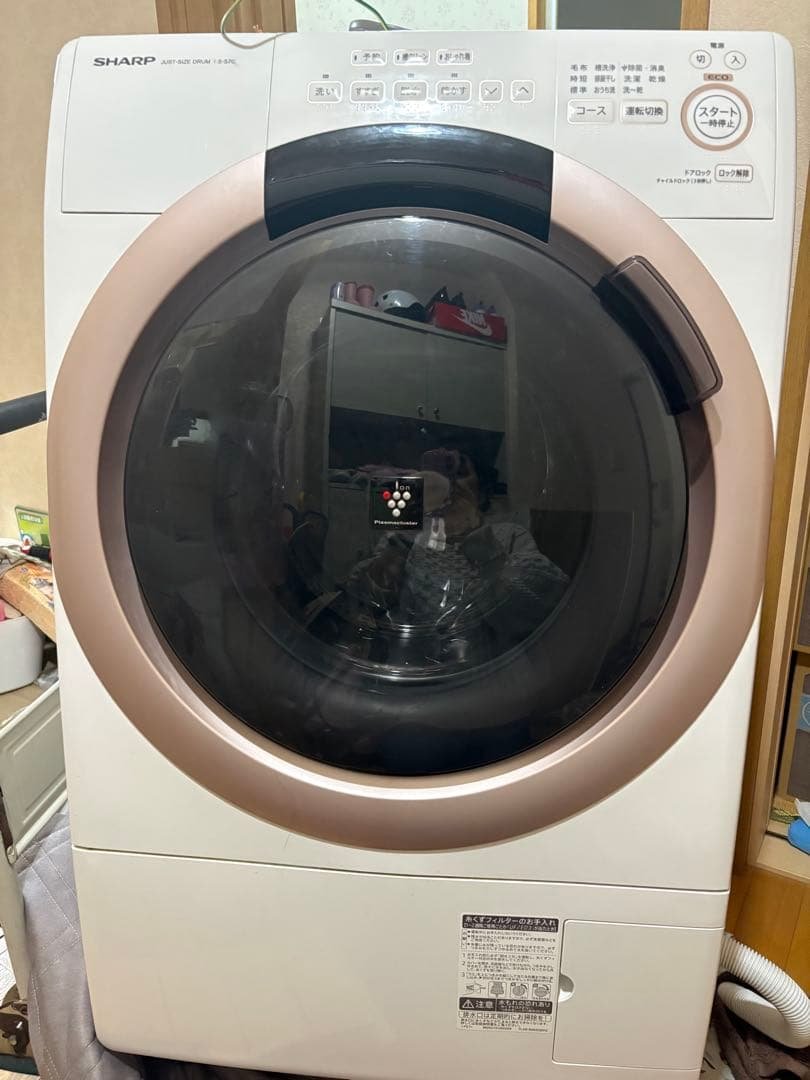 今月中で削除　2022年　シャープ　SHARP ドラム式　 洗濯機　ES-S7G ES-S7H | 洗濯機：シャープ