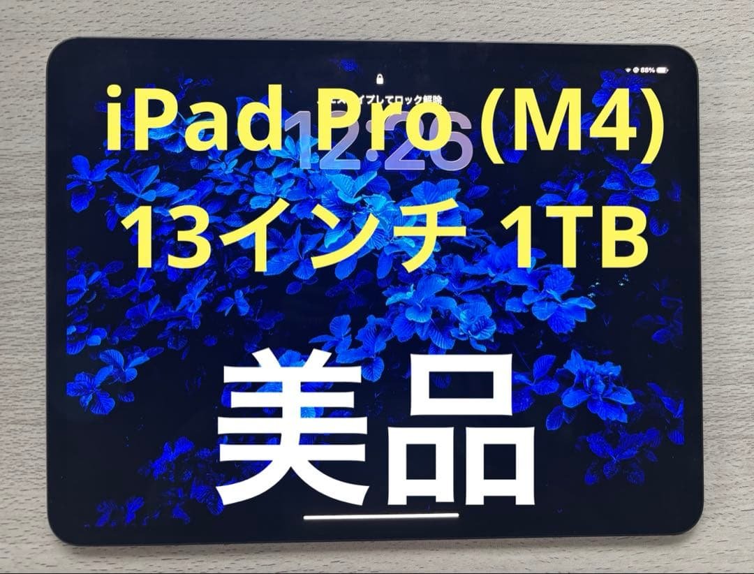 【美品】iPad Pro (M4)13インチ 1TB スペースブラック箱付き 13インチ iPad Pro (M4) 中古最安値