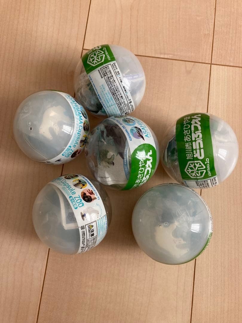 新品未開封　海洋堂　ガチャ　あさひやまどうぶつえん　vol.1 6種 Amazon | 旭山動物園 カプセルズー マグネット vol.6 単品シロフクロウ