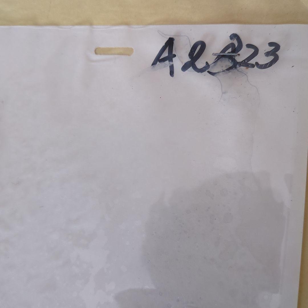 となりのトトロ セル画 サツキちゃん