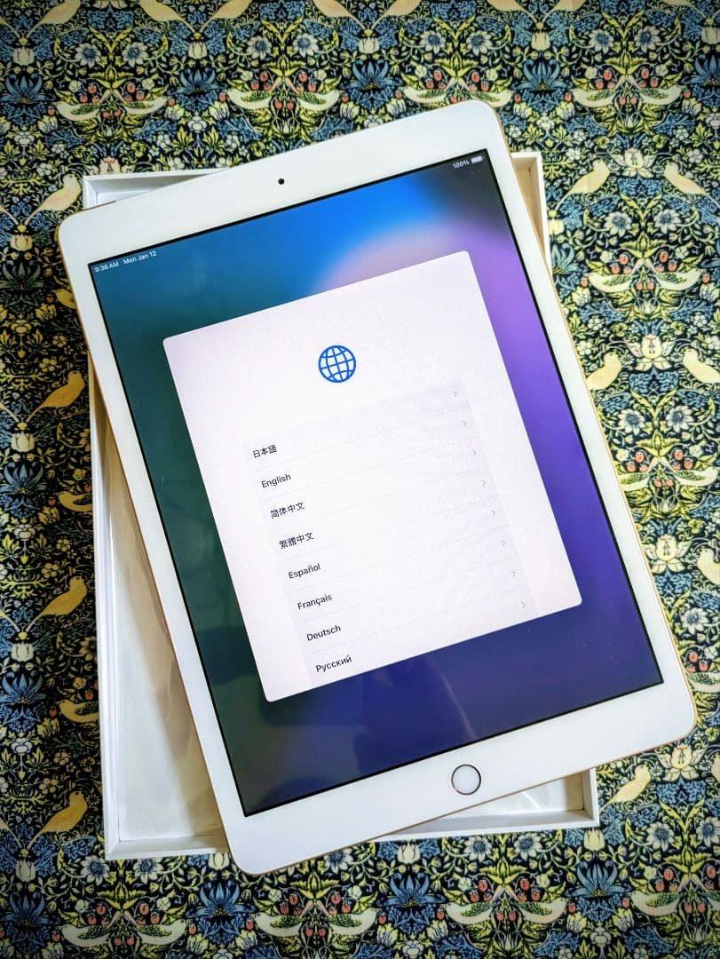 Apple iPad 第7世代 32GB ローズゴールド 本体 Amazon.com : Early 2018 Apple iPad (9,7-inch, 32GB, Wi-Fi +