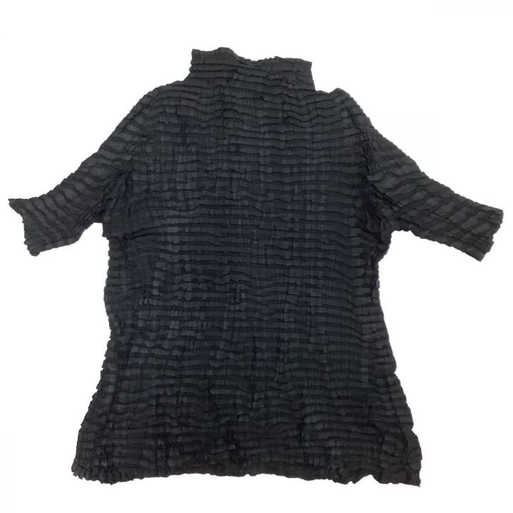 ISSEY MIYAKE イッセイミヤケ カットソー シワ加工 ランダムプリーツ