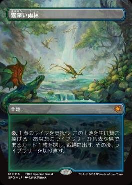 ドラゴンスケイル・Foil】(116)□ボーダーレス□《霧深い雨林/Misty